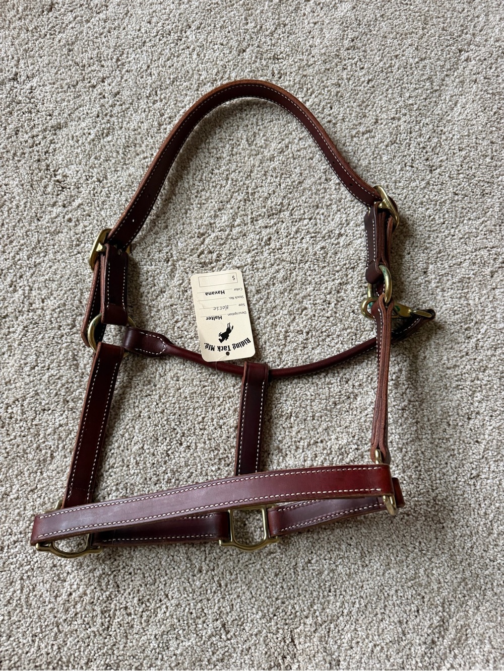 New Leather horse halter, HORSE size. Brass hardware